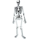 Learning Resources Pěnová puzzle kostra