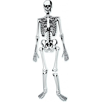 Learning Resources Pěnová puzzle kostra