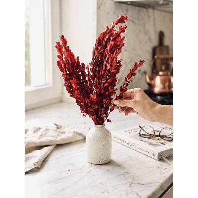 Stabilizovaný BUXUS červený / vínový 30-40cm 100g