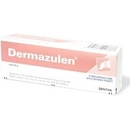 Dermazulen ung.der.1 x 30 g