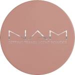 Nam Setting Translucent Powder Пудра компактна 8gr
