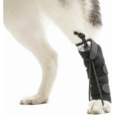 Walkinpets pomôcka na korekciu chôdze na zadné nohy L