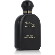 Jaguar pánska Gold in Black toaletná voda pánska 100 ml