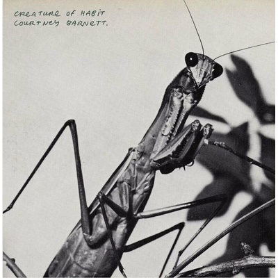 Courtney Barnett - Creature Of Habit (Caramel Coloured) LP