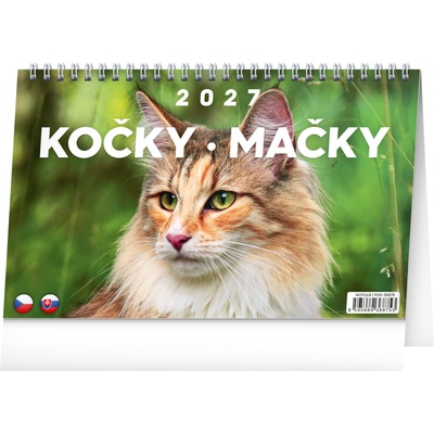 NOTIQUE stolní Kočky Mačky CZ/SK 23,1 × 14,5 cm 2027