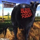 Blink 182 - Dude Ranch CD