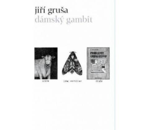 Dámský gambit