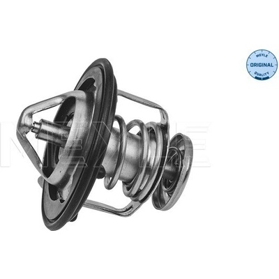 Termostat, chladivo MEYLE 31-28 228 0002