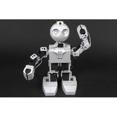 Образователен робот JD Humanoid (EZ-Robot) (EZR-JD-HUM)
