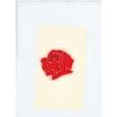 LANY: LANY CD