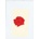 LANY: LANY CD