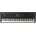 Yamaha MODX8+