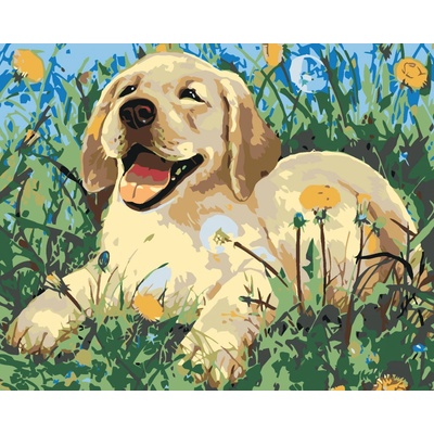 zuty Malování podle čísel Štěně mezi pampeliškami 100 x 80 cm vypnuté plátno na rám