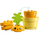 Image 1 of LEGO® DUPLO® - Growing Carrot (10981)