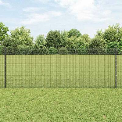 vidaXL Svařovaná drátěná plotovina s tyčkami 100 x 0,8 m Šedá Síťovina