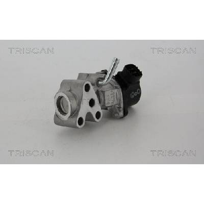 AGR - Ventil TRISCAN 8813 13028