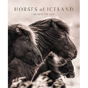 Horses of Iceland (ISBN: 9781923094000)