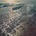 FLEET FOXES - Shore CD