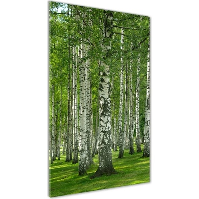 Vertikálny foto obraz sklo tvrdené Brezový les 50x100 cm