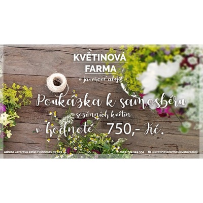 Poukázka - samosběr - malá nádoba eko květin 750,- Kč