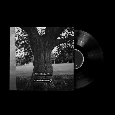 Archy Marshall & King Krule - A New Place 2 Drown (Instrumental) (Remastered) (Limited Indie Edition) (LP) (0191404157510)