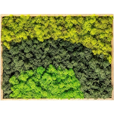 Gardners Obraz z 3 barev lišejníku 30x40 cm, přírodní