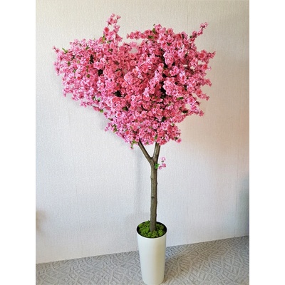 Kvitnúci strom- sakura 160cm