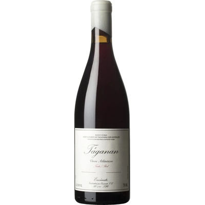 Envinate Taganan Tinto 2024 Červené 13% 0,75 l (holá láhev)