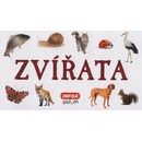 Zvířata