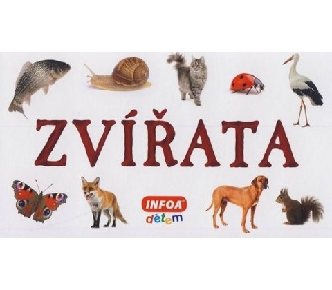 Zvířata
