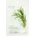 MIXSOON - Daily Mask Pack Sheet - TUESDAY GLASS SKIN