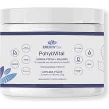 EnergyFlex PohybVital 30 dávok