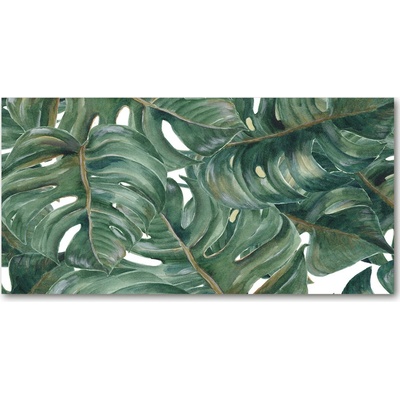 Fotoobraz na skle Monstera 100x50 cm