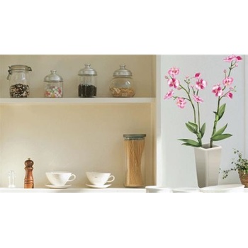 IMPOL TRADE VCS103 Samolepky na stenu orchidea, rozmer 50 x 70 cm