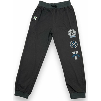 Chlapčenské tepláky sivá