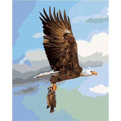 zuty Malování Podle Čísel Orel Lovící Rybu D. Rusty Rust 40 x 50 Cm Plátno Rám