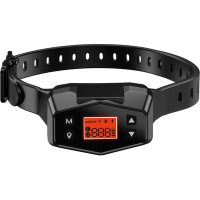 Patpet F800
