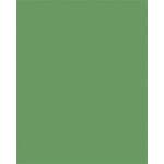 FOLIA Декоративен картон, двустранен, a4, 220 г, 100 листа, folia, мъхзелено 6122/4/53 (6122/4/53)
