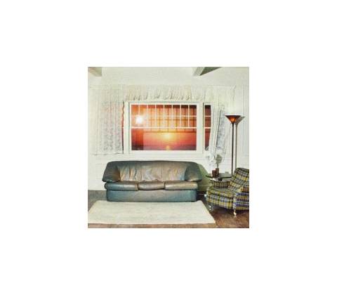 Wallows - Model CD