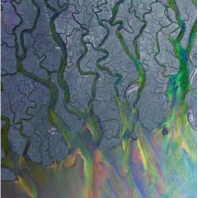 An Awesome Wave - Alt-J CD