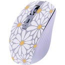 TnB Exclusiv Flower MWXFLOWER