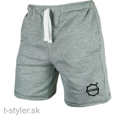 Octagon šortky Logo HFT grey