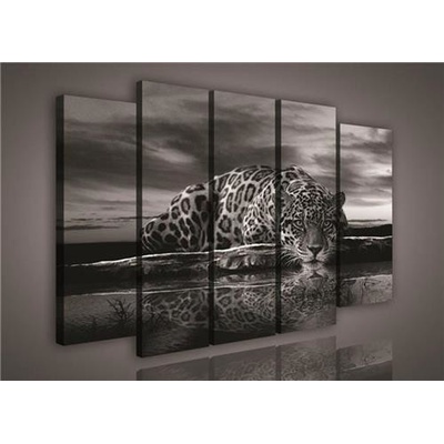 Obraz na plátně Jaguár 171S12, rozměr 150 x 100 cm, IMPOL TRADE