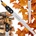 FISKARS 136528