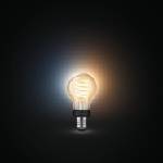 Philips Смарт LED димируема vintage крушка Philips Hue Filament Globe, E27, 7W, 550 lm (BT, Zigbee, HomeKit, Google, Alexa, SmartThings) (12NC929002477501)