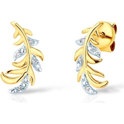 Savicki SAVE82039 Y S