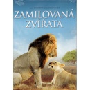 Zamilovaná zvířata DVD