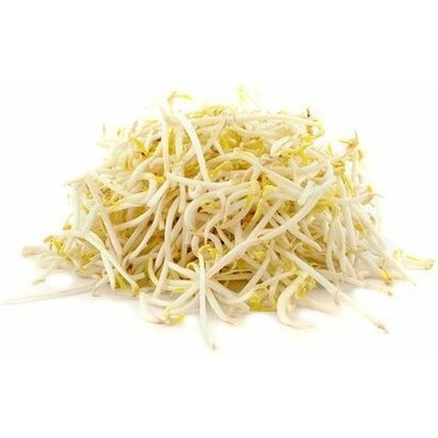 Biomiska Fazuľa Mungo semienka na klíčenie , 250 g