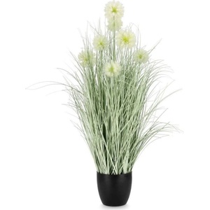 Bizzotto Изкуствено растение cebolla бяло с кашпа, 7 цвята, h105 (0172879)