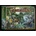 Pathfinder 2. edice: Beginner Box